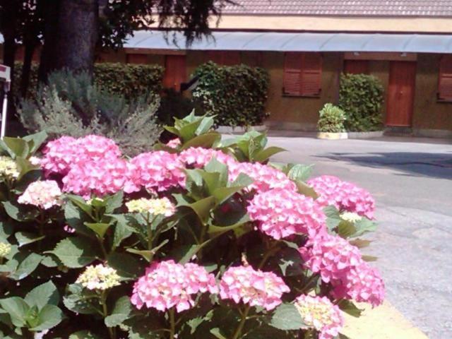 Hotel Ovest 3*